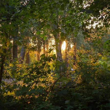 Wohnen Am Suedstrand - 0 1 Apartman Wyk auf Föhr