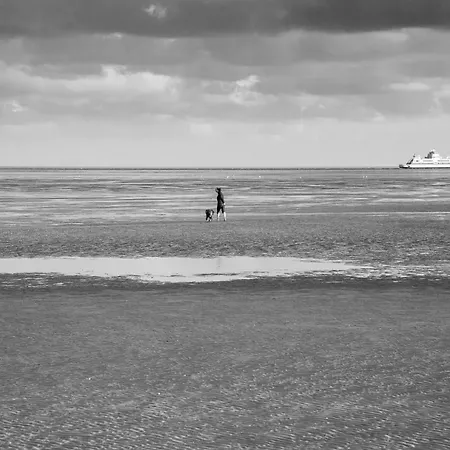 Wohnen Am Suedstrand - 0 1 Apartman Wyk auf Föhr