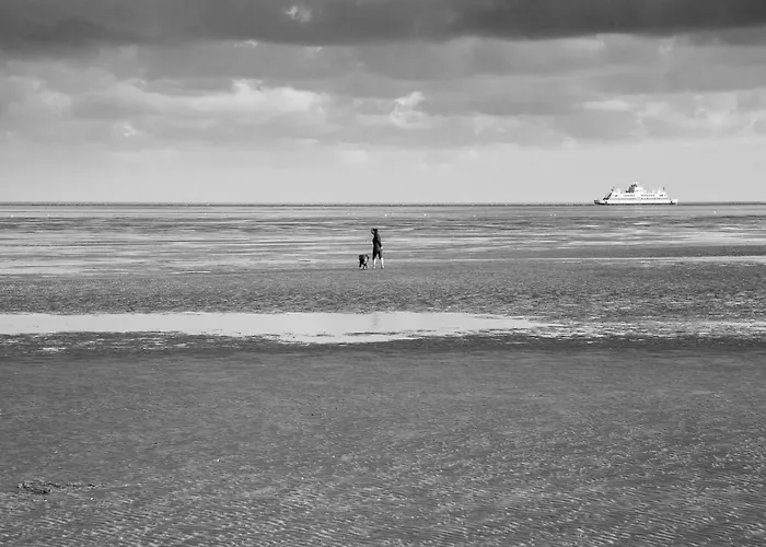 Wohnen Am Suedstrand - 0 1 דירה Wyk auf Föhr