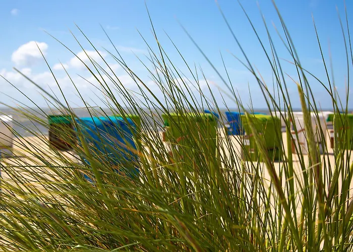 Wohnen Am Suedstrand - 0 1 דירה *